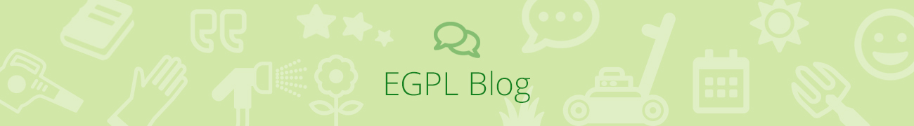 Blog Page